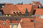 Dächerlandschaft in der Stralsunder Altstadt