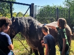 Das Ferienprogramm im Zoo hält viel Wissenswertes über Tiere bereit.