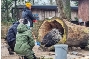 Dr. Sven Wieskotten präsentiert in einem Tiertrainerworkshop der Landeszooakademie des Landeszooverbandes Mecklenburg-Vorpommern die ersten Schritte für eine Einstieg in das Tiertraining am praktischen Beispiel bei den Bewohnern des Zoo Stralsund.