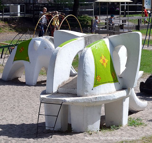 Die beiden Elefanten(Archivbild ) im Stralsunder Zoo bekommen jetzt Zuwachs