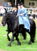 Friese und Fellpony im Damensattel geritten